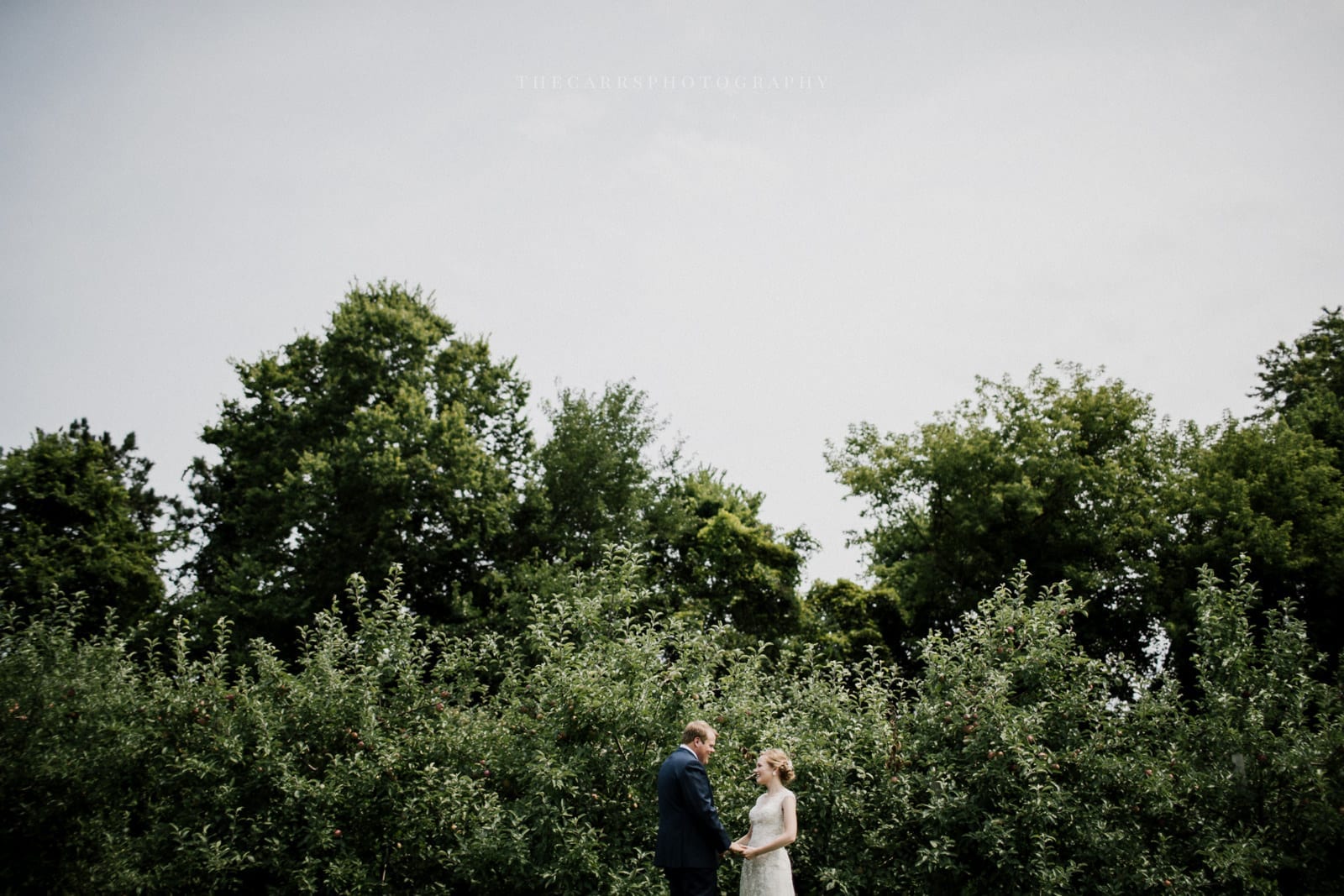 bride and groom holding hands at Eckers Apple Farm Wedding - Destination Photographer