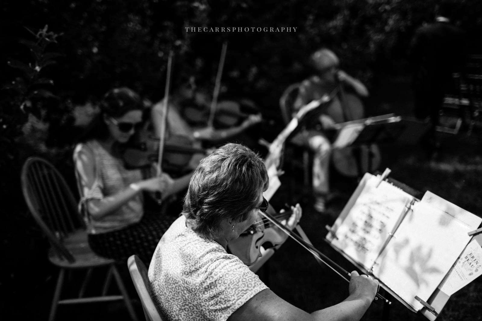 violins at ceremony at Eckers Apple Farm Wedding - Destination Photographer