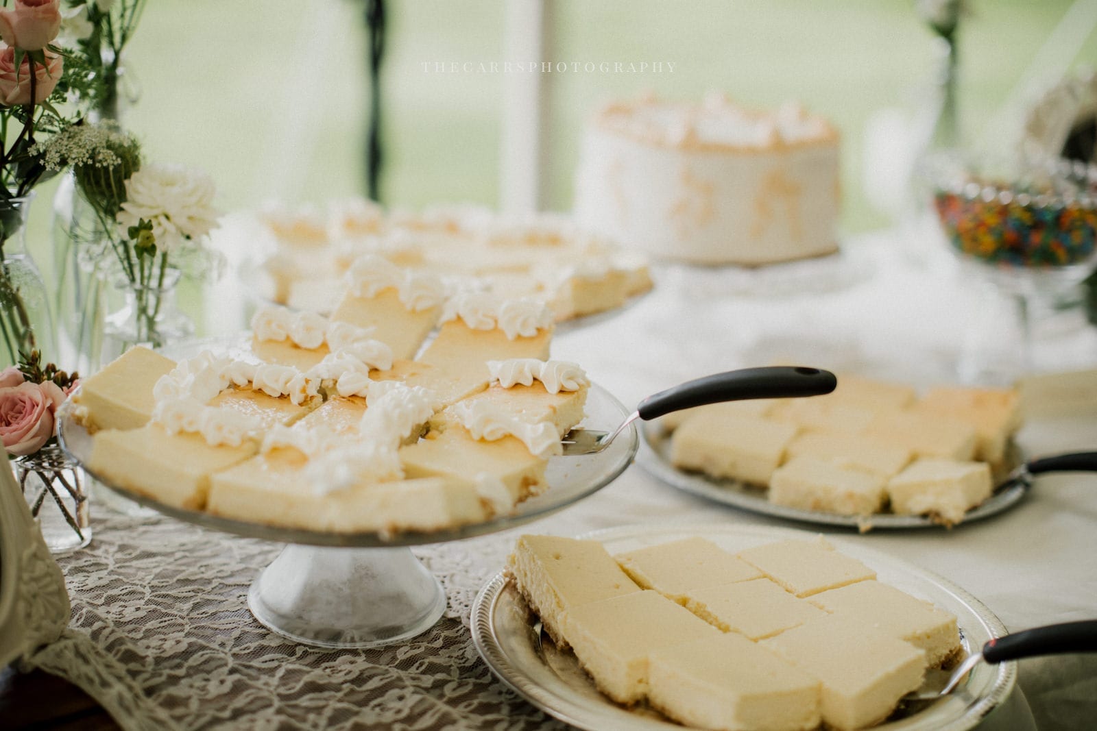 cheesecake bar at Eckers Apple Farm Wedding - Destination Photographer
