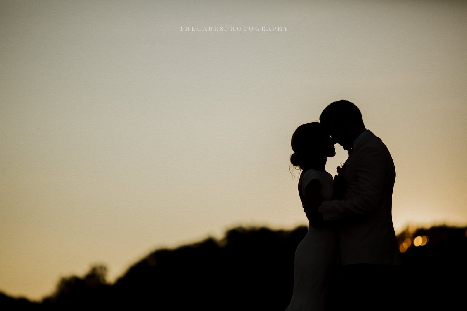 bride and groom kissing at golden hour at lake house wedding - Akron Ohio Wedding Photographer