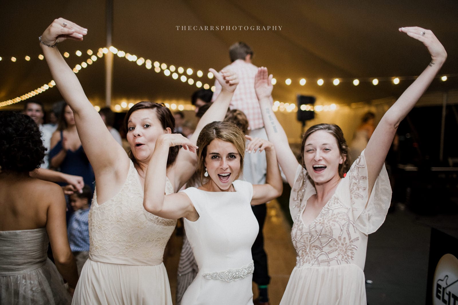 bride and guests dancing at lakehouse wedding - Akron Ohio Wedding Photographer