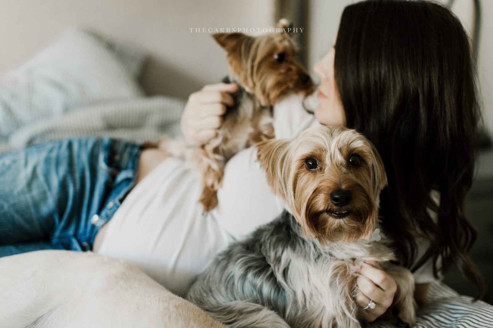 woman holding dogs - dayton ohio maternity photographer