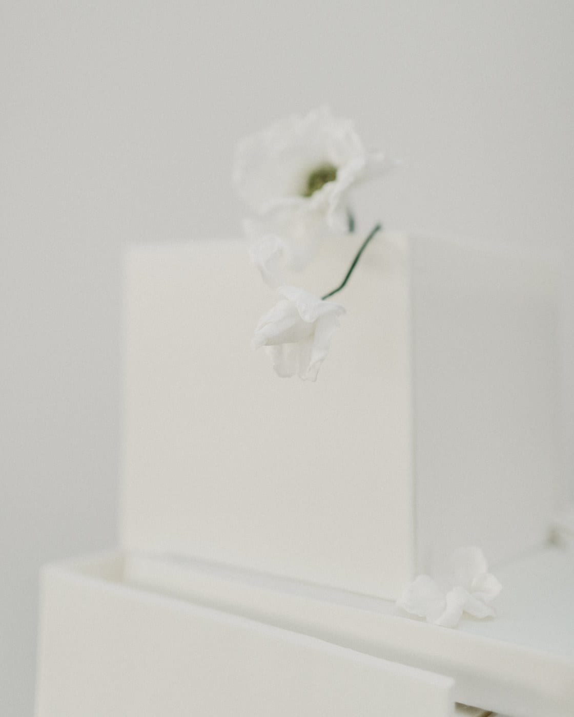 detail shot of modern white flower on cake at Juniper Rooftop Wedding