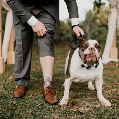 Groom poses dog for photo by Dayton Ohio Photographer Kera Estep