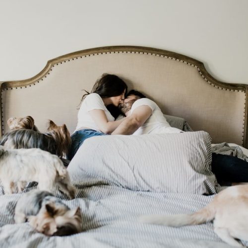 couple kisses in bed with dog