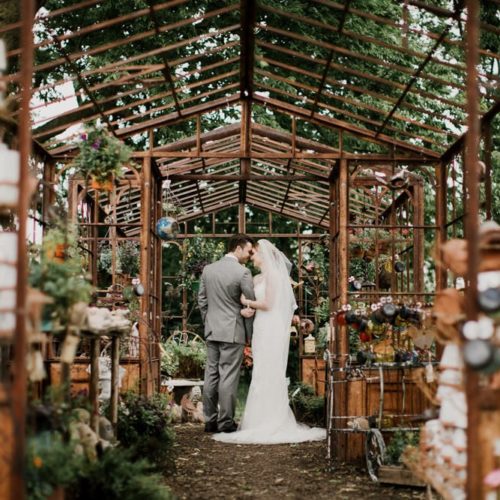 bride and groom in greenhouse by Michael Carr Ohio Wedding and Engagement Photographer