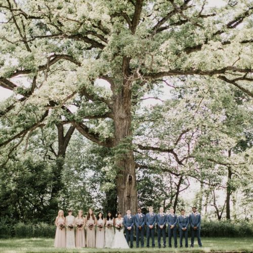 bride groom and bridal party under huge tree by Dayton Ohio Wedding Photographer Josh Ohms