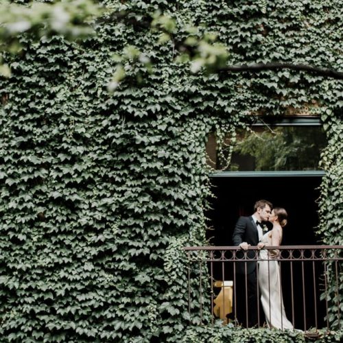 bride and groom kissing under ivy by Dayton Ohio Wedding Photographer Josh Ohms