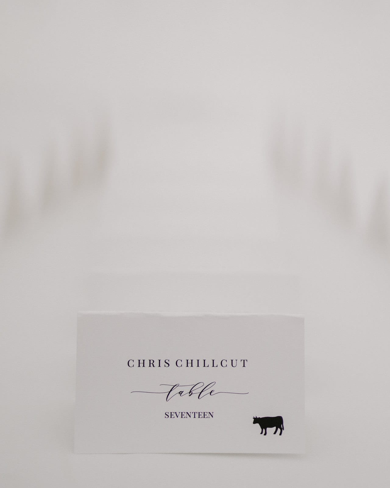 place cards at Franklin Park Conservatory Wedding by Columbus Wedding Photographer