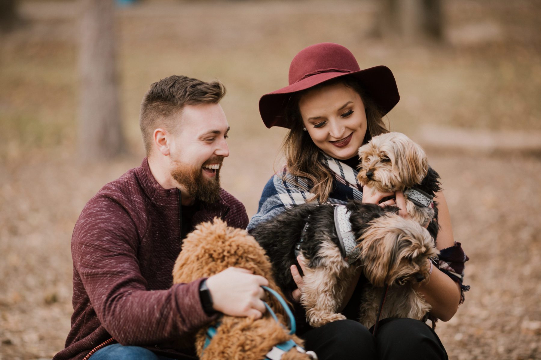 How to Include Your Dog in Your Photos - Carrs Photography